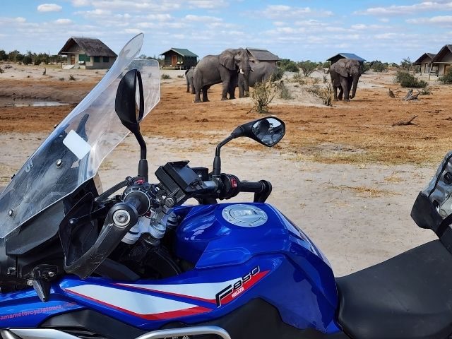 Botswana Elephants