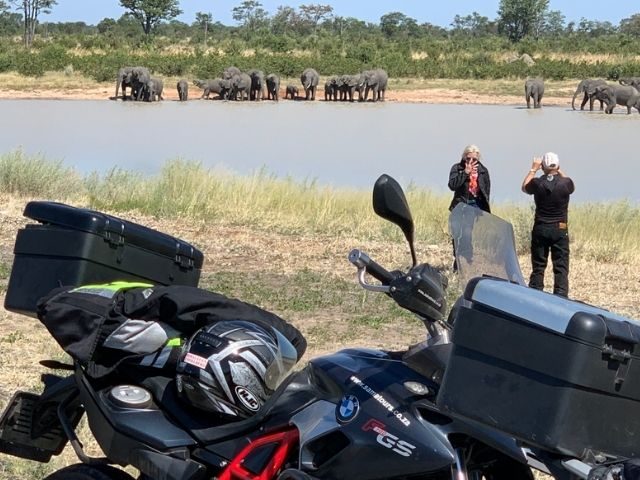 Elephants on the Highway 640
