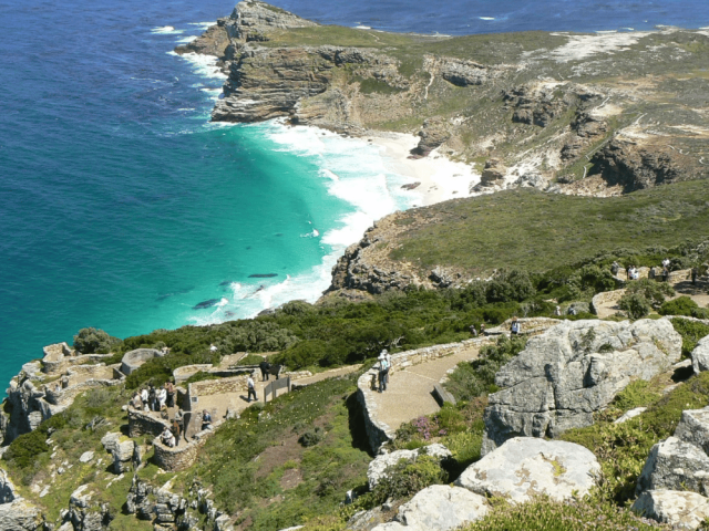 Cape Point Peninsuala